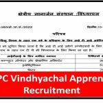 ntpc vindhyachal apprentice recruitment,