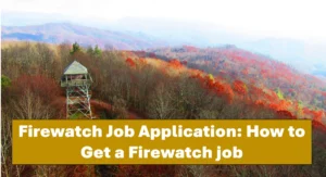 firewatch job application