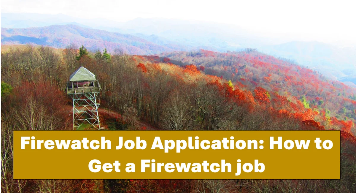 firewatch job application