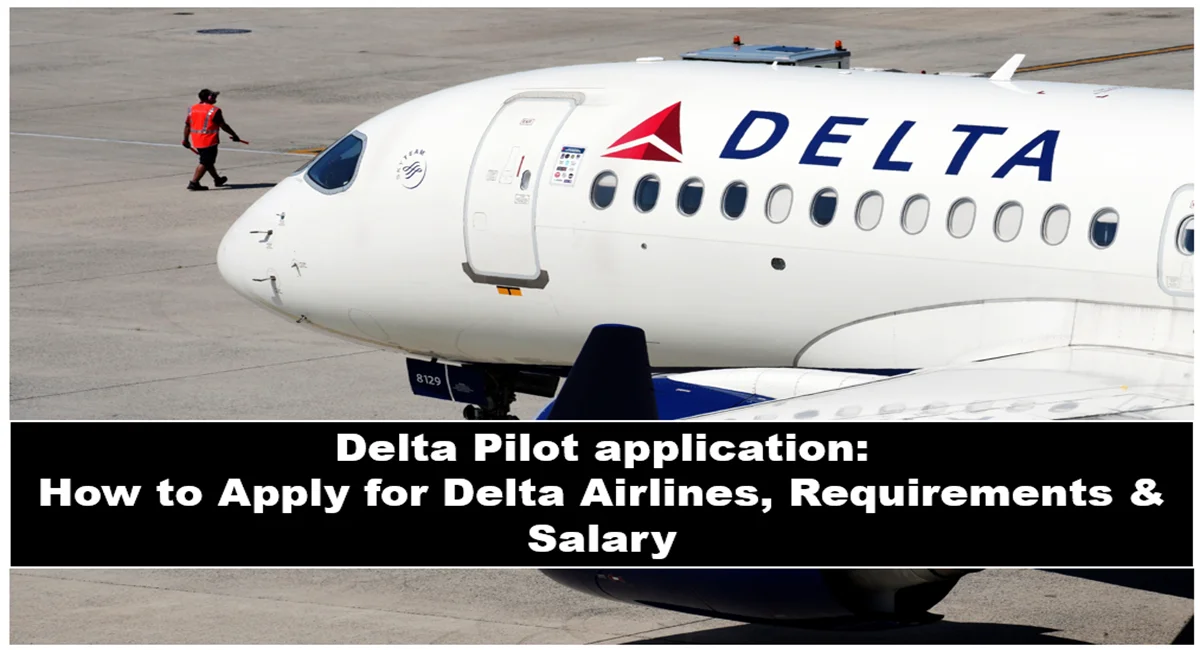 Delta Pilot application